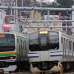 とれいんメンバーズ写真展、4月は横須賀線E217系をご覧あれ！